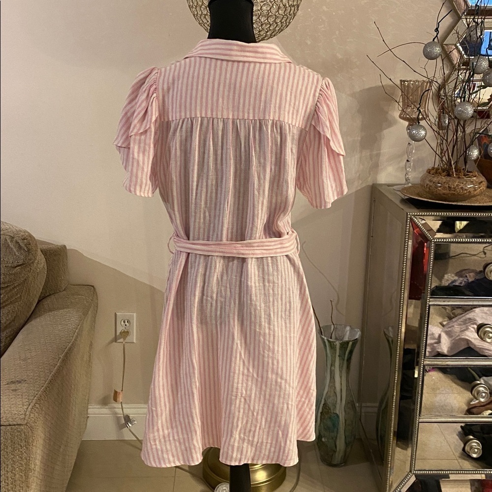 Alexis Blush Striped Belted Mini Dress - Picture 5 of 5